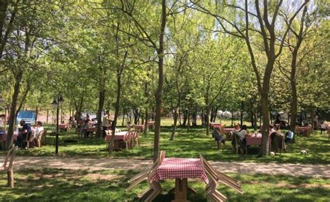 Istanbul piknik alanları mangal